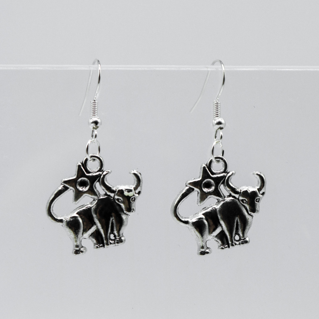 Silver Earrings With Zodiac Symbol Charm | Shop Nory