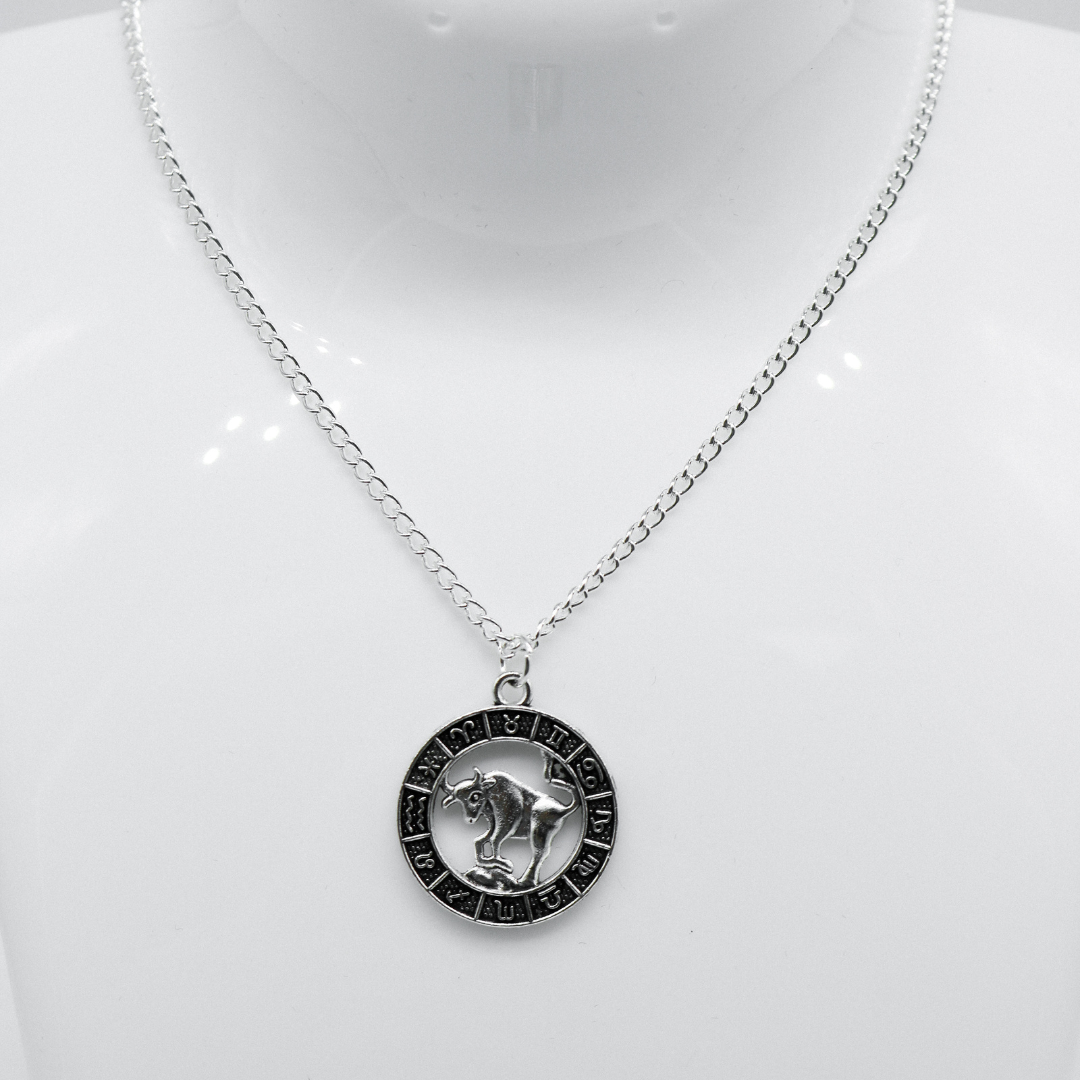 Silver Zodiac Coin Charm Necklace | Shop Nory