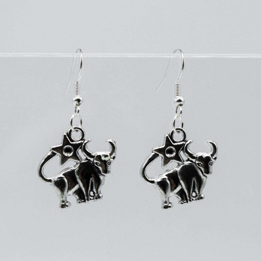 Silber Ohrringe mit Sternzeichen-Anhänger | Shop Nory