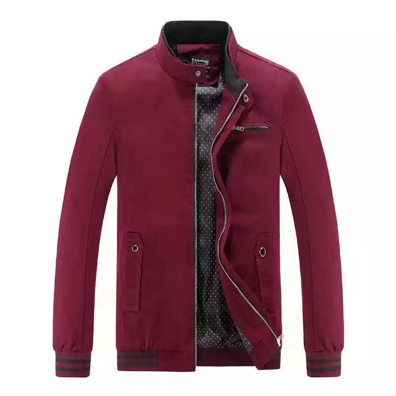 Herren Moderne Übergangsjacke im Bomberstil mit Stehkragen, gestreiften Rippbündchen und Punktfutter Shop Nory