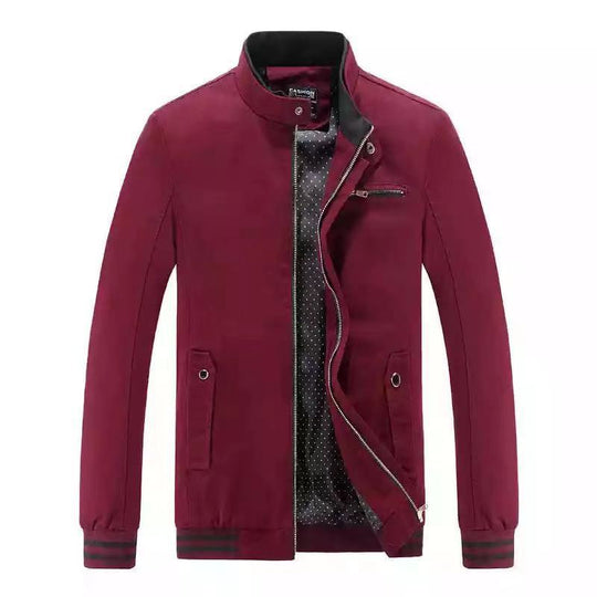 Herren Moderne Übergangsjacke im Bomberstil mit Stehkragen, gestreiften Rippbündchen und Punktfutter Shop Nory