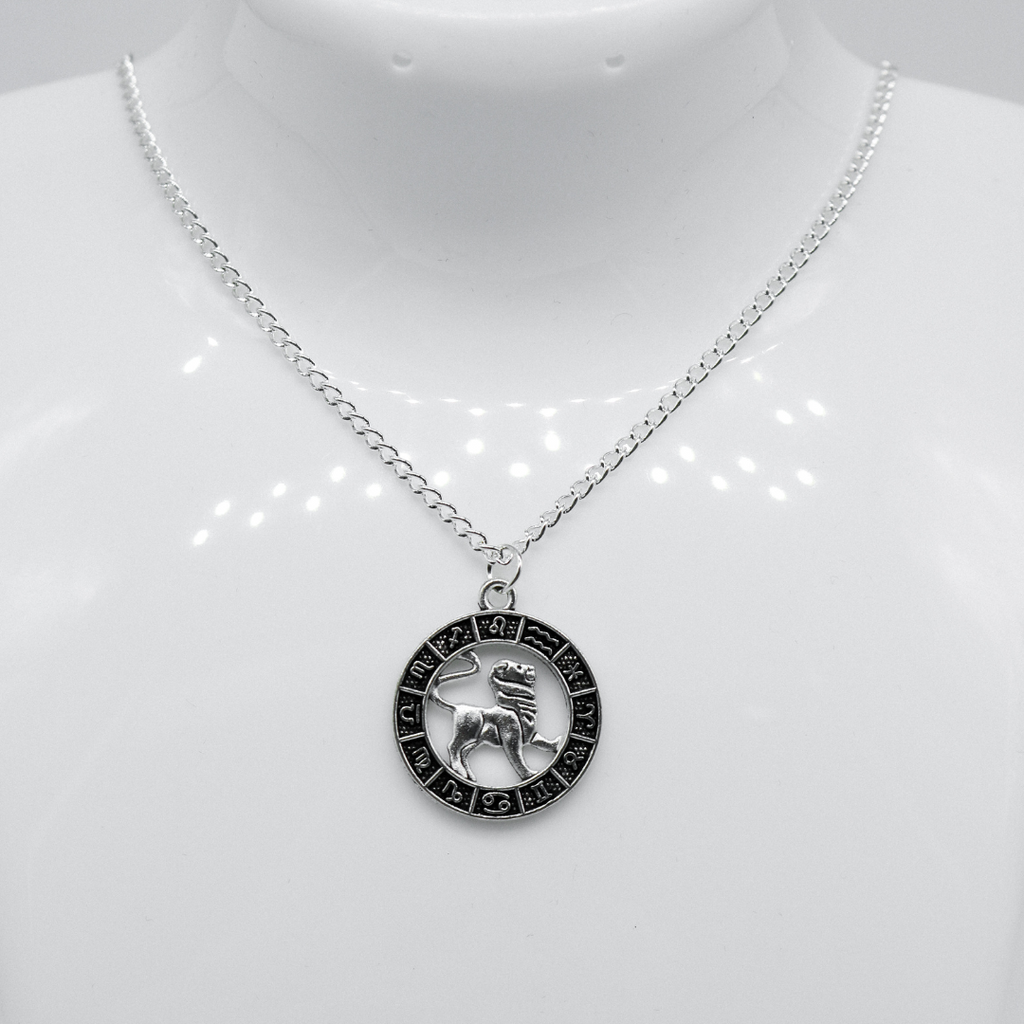 Silver Zodiac Coin Charm Necklace | Shop Nory