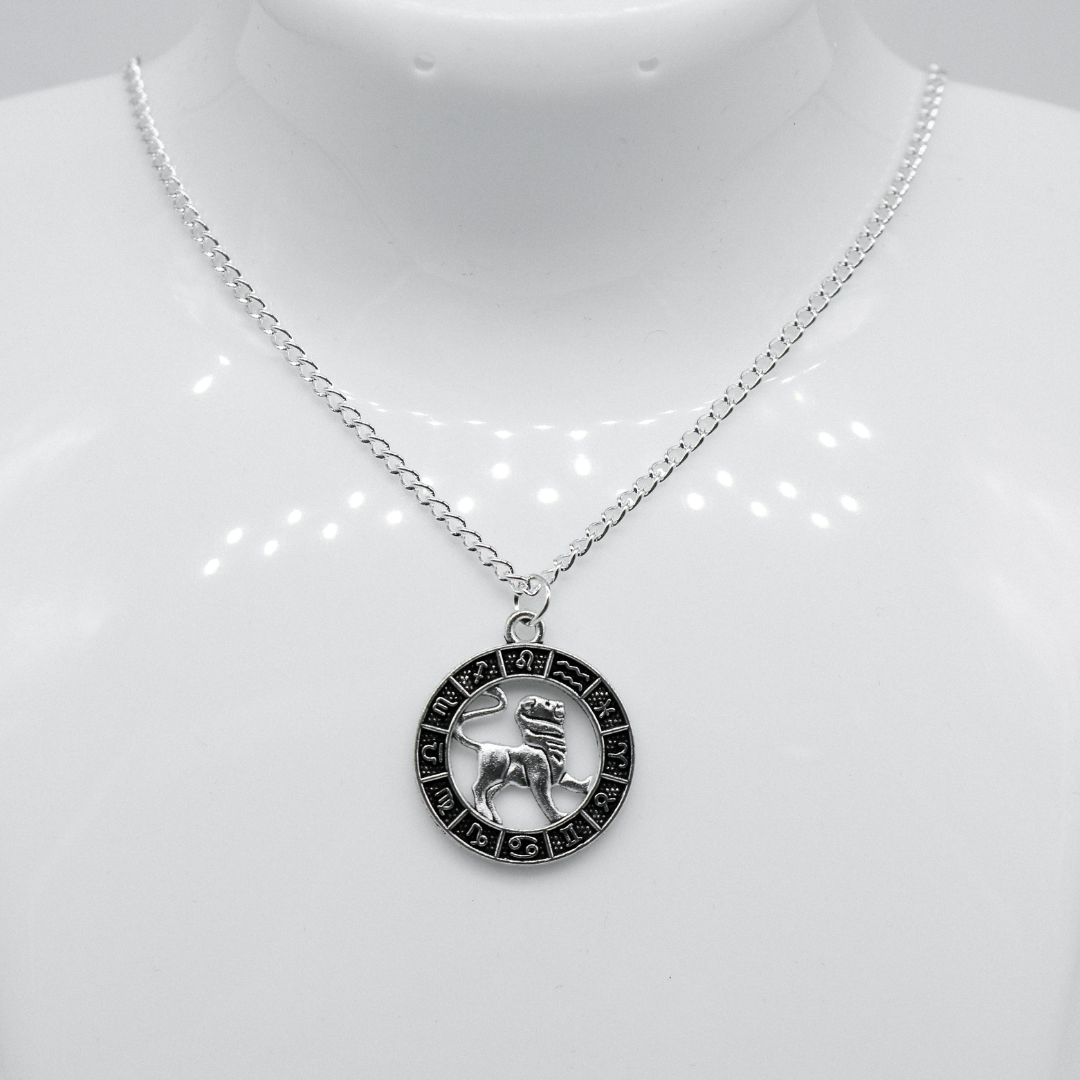 Silver Zodiac Coin Charm Necklace | Shop Nory