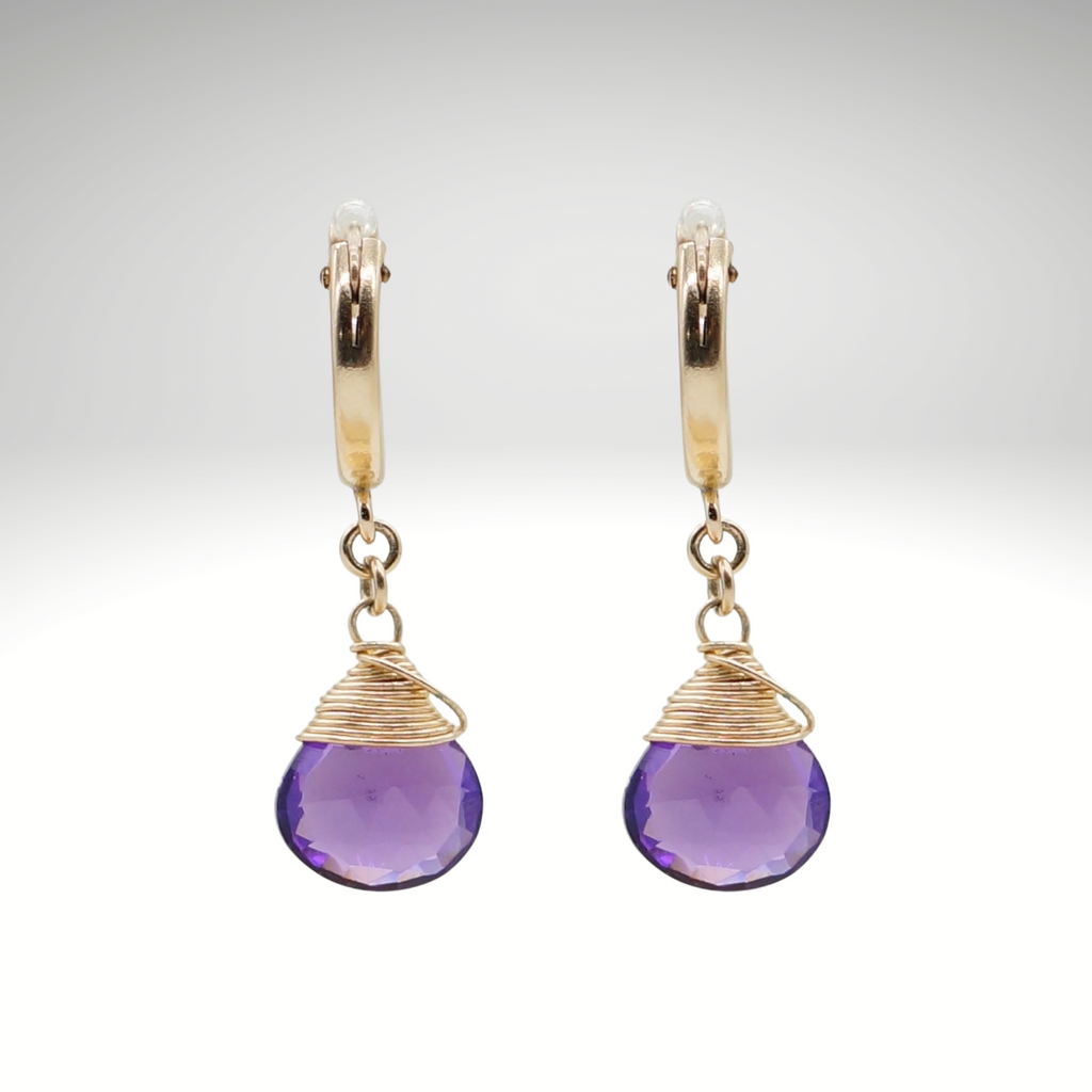 Amethyst-Geburtsstein/Zodiac-Huggie-Ohrringe | Shop Nory