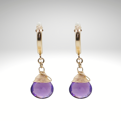 Amethyst-Geburtsstein/Zodiac-Huggie-Ohrringe | Shop Nory
