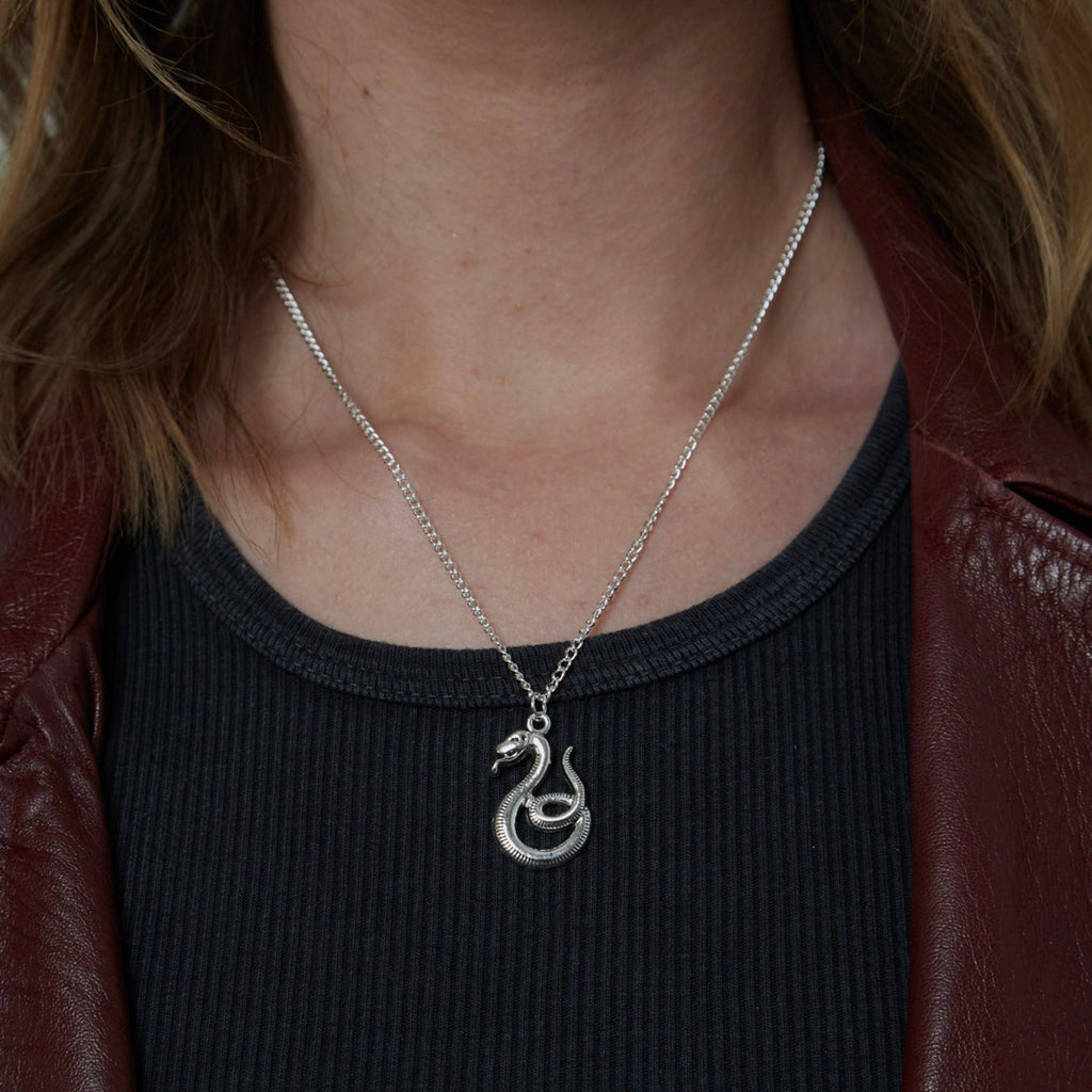 Silver Gothic Serpent Snake Charm Necklace | Shop Nory