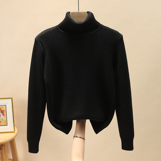 Herren-Rollkragenpullover, gefüttert, warm