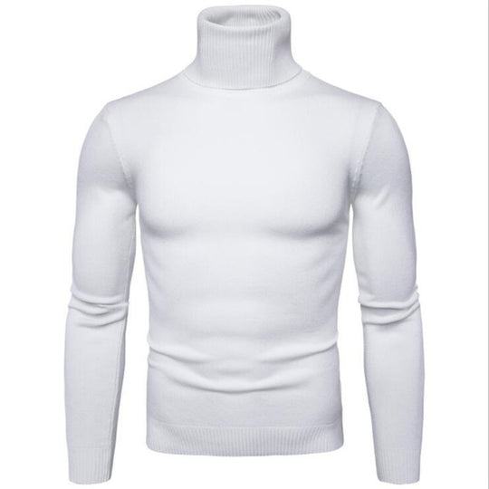 Herren-Rollkragenpullover, schlicht und modern