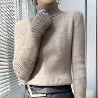 Elegantes Kamel