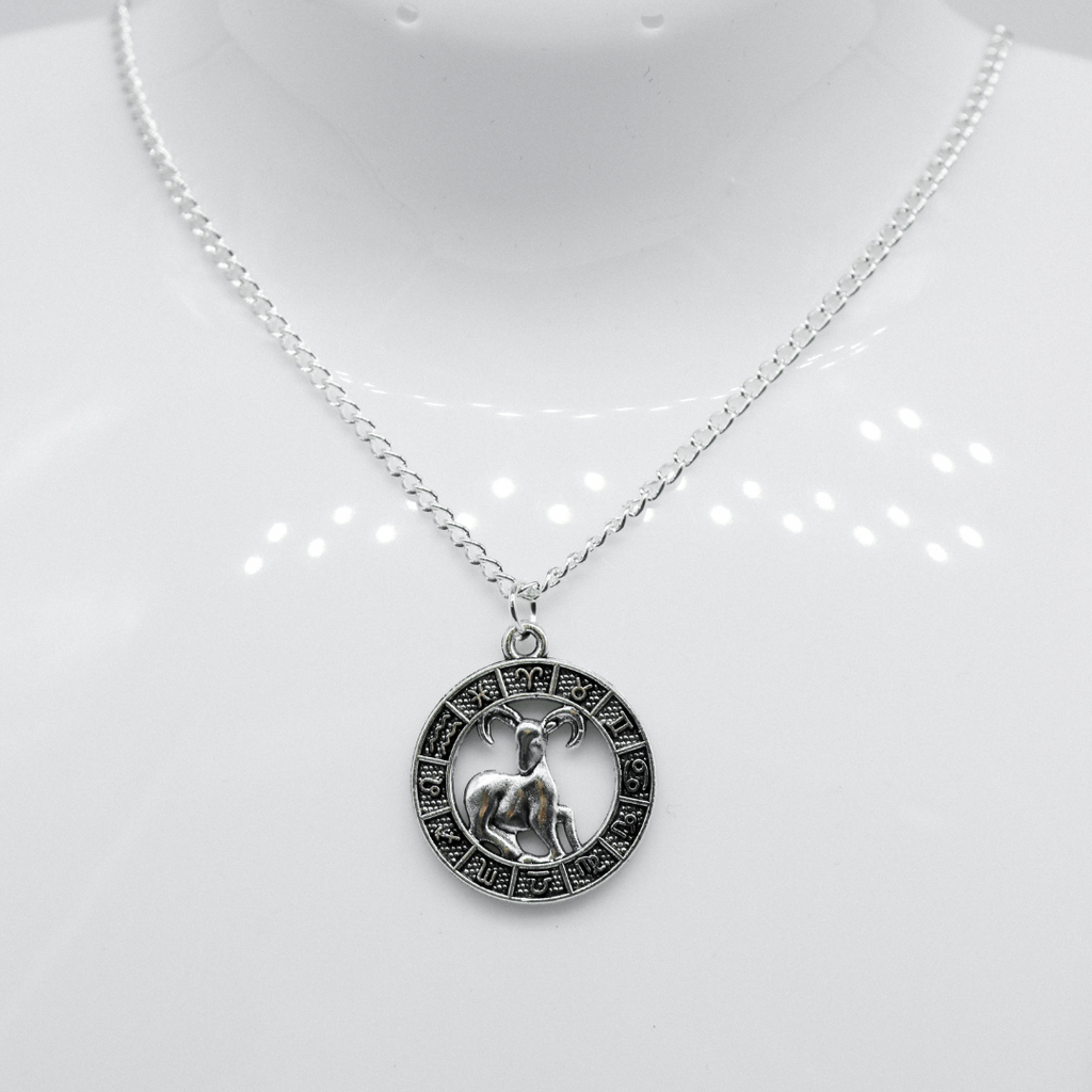 Silver Zodiac Coin Charm Necklace | Shop Nory