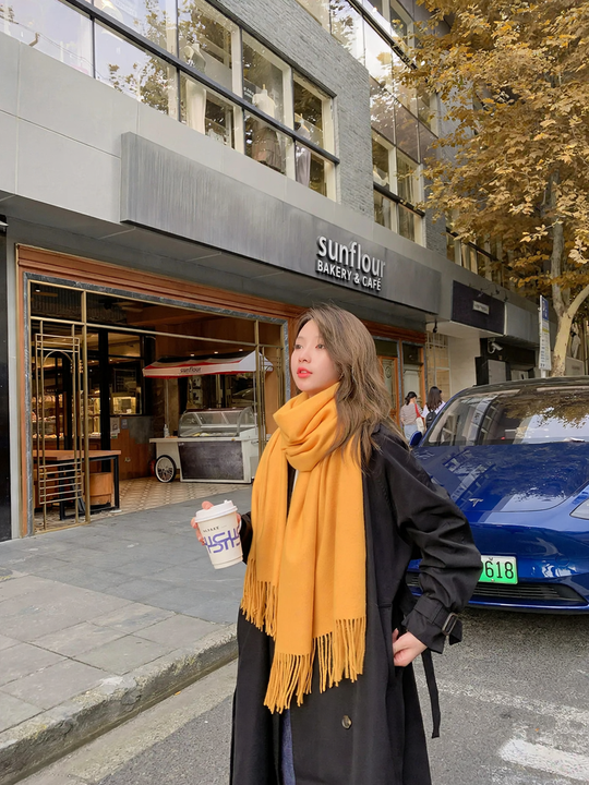 Einfarbiger Schal in Kaschmir-Optik, 70x200 cm
