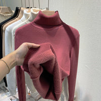 Magenta gefüttert