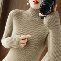 Elegantes Kamel