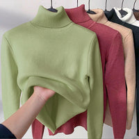 Grün Rollkragen Fleece