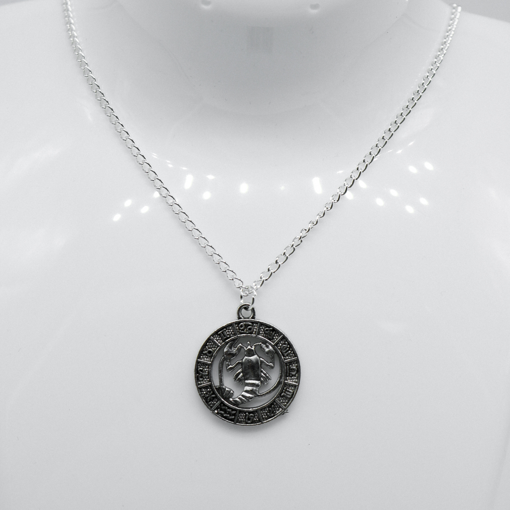 Silver Zodiac Coin Charm Necklace | Shop Nory