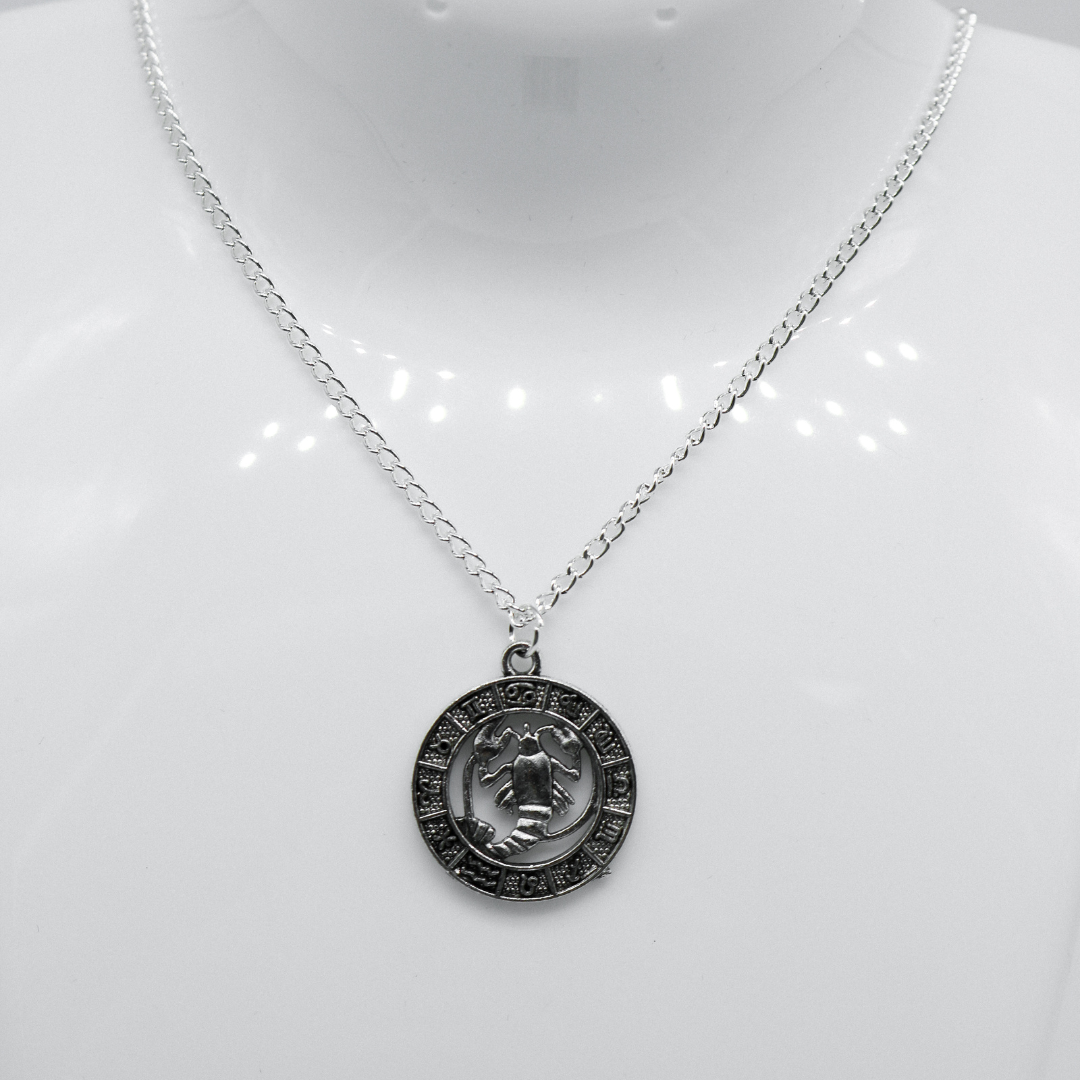 Silver Zodiac Coin Charm Necklace | Shop Nory