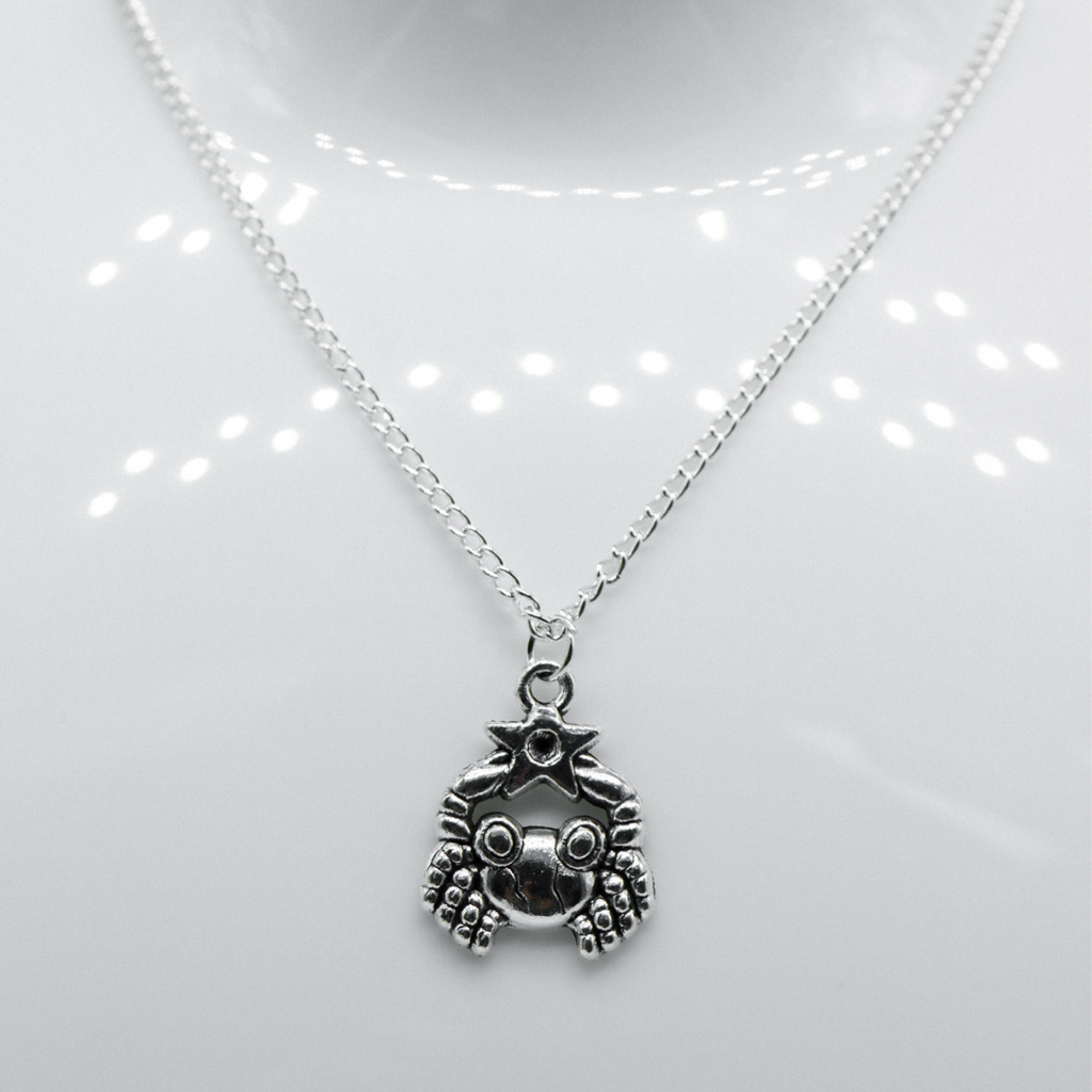 Silber Zodiac Symbol Charm Halskette | Shop Nory