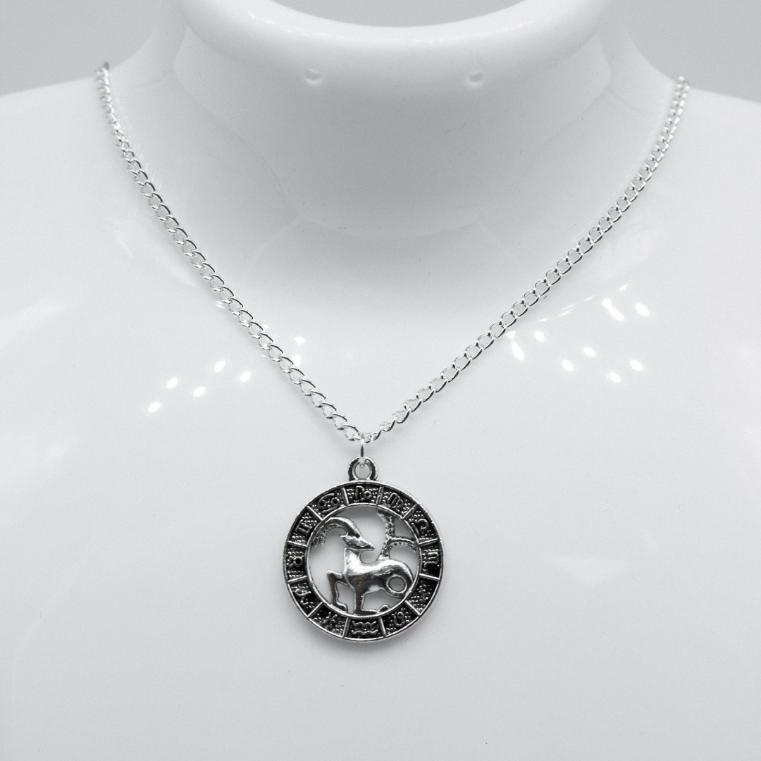 Silver Zodiac Coin Charm Necklace | Shop Nory