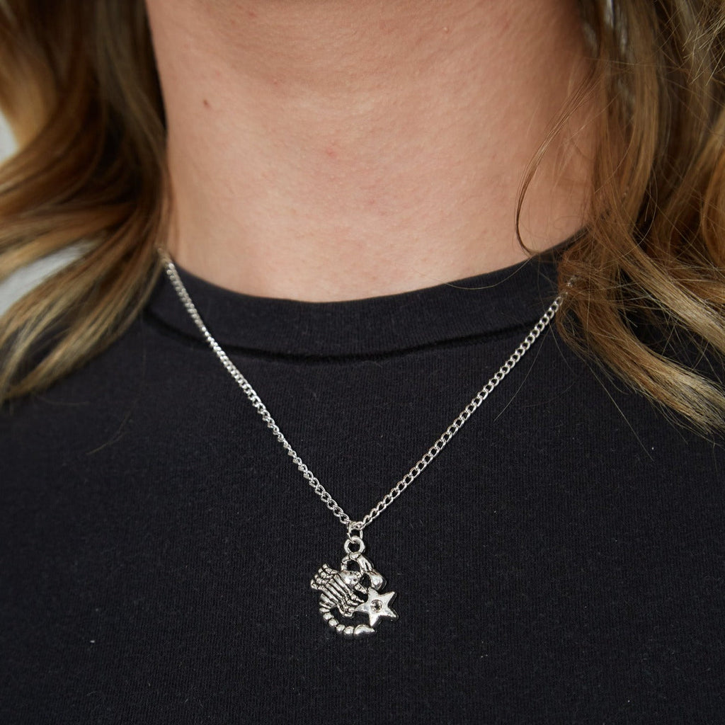 Silver Zodiac Symbol Charm Necklace | Shop Nory