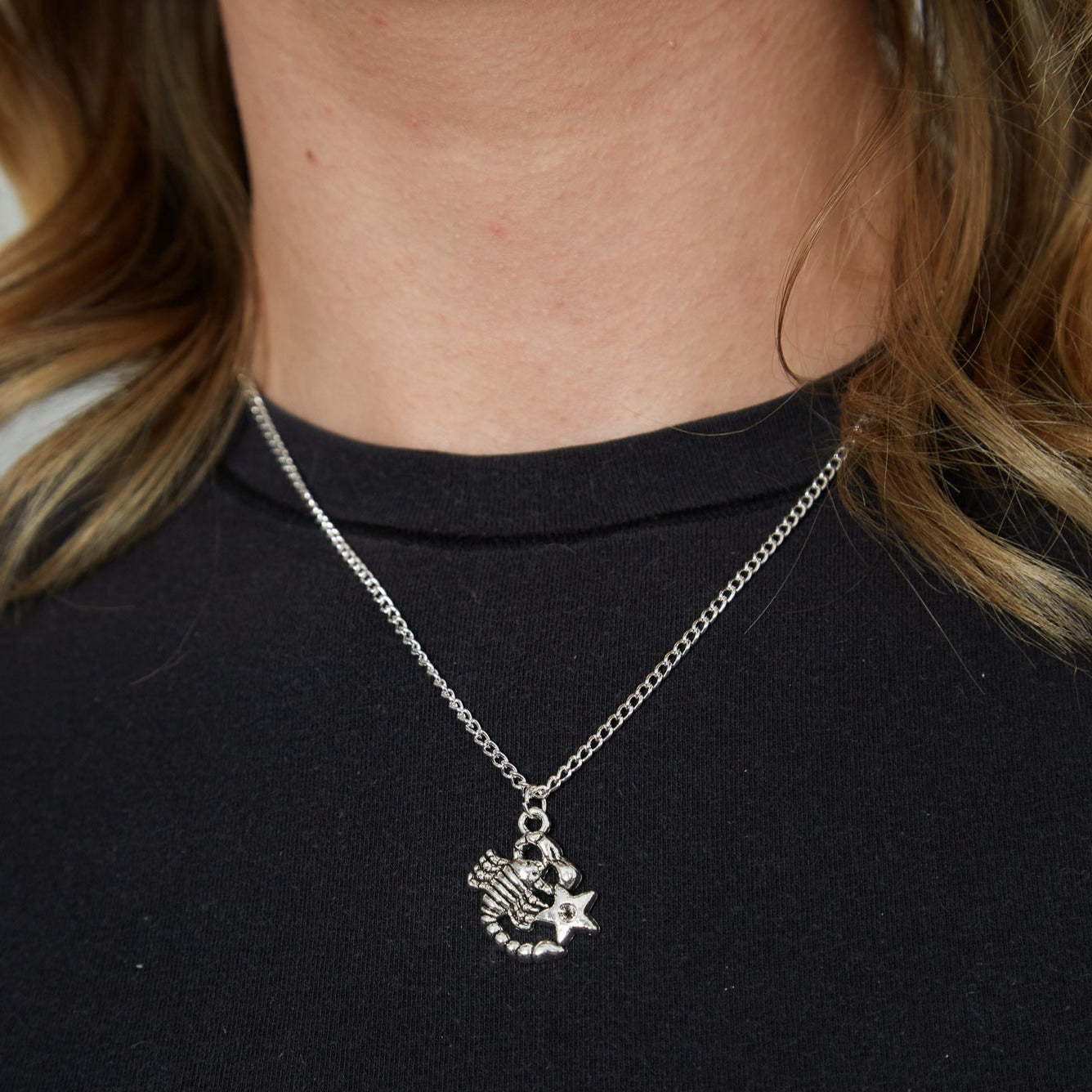 Silver Zodiac Symbol Charm Necklace | Shop Nory