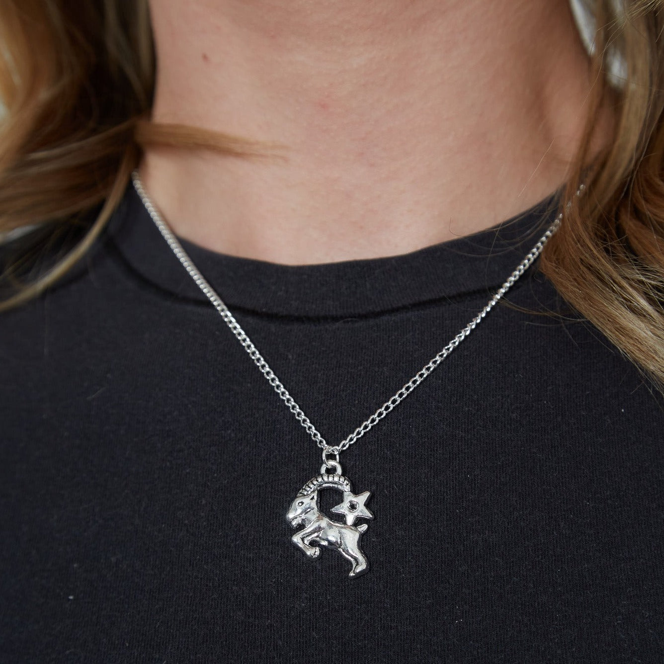 Silver Zodiac Symbol Charm Necklace | Shop Nory