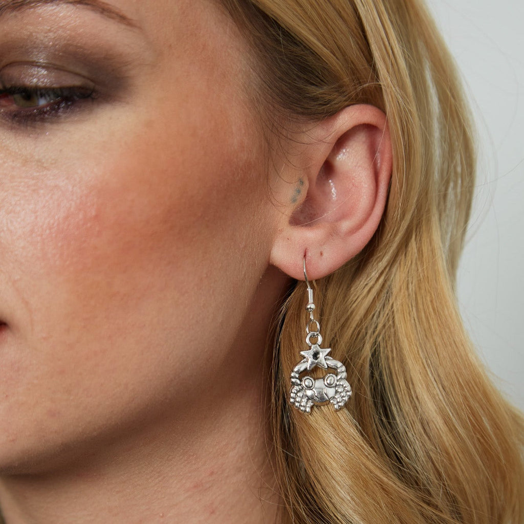 Silver Earrings With Zodiac Symbol Charm | Shop Nory
