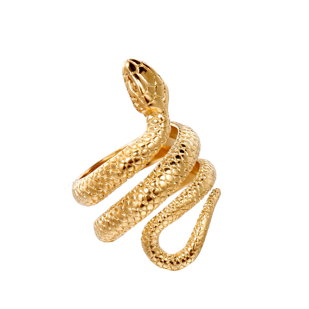 Herren Ring "Snake" in Titaniumstahl | Shop Nory