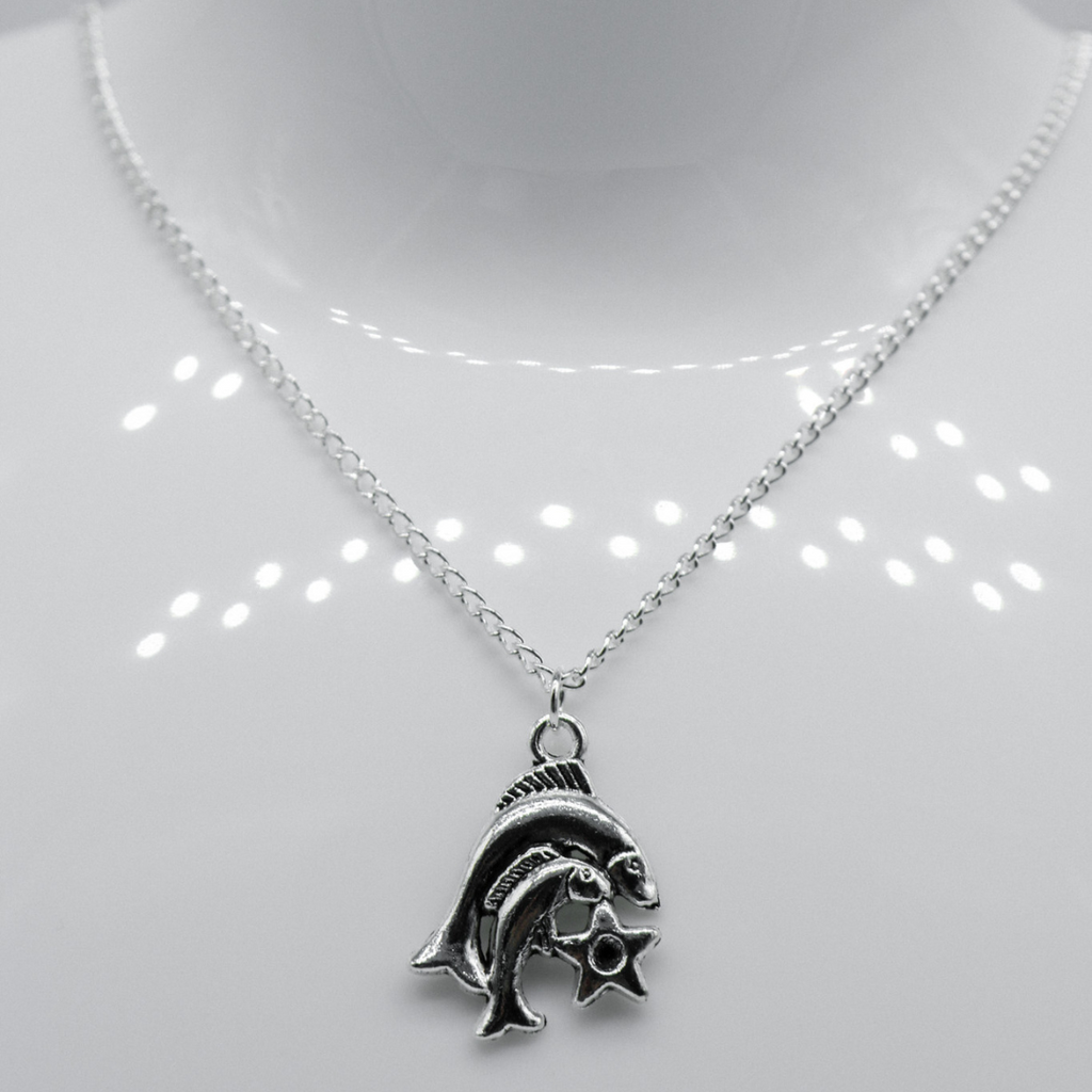 Silber Zodiac Symbol Charm Halskette | Shop Nory