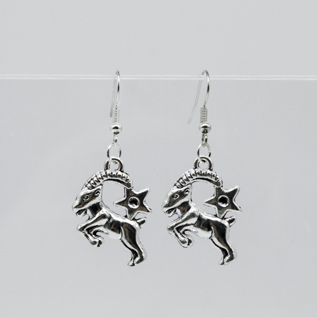 Silber Ohrringe mit Sternzeichen-Anhänger | Shop Nory