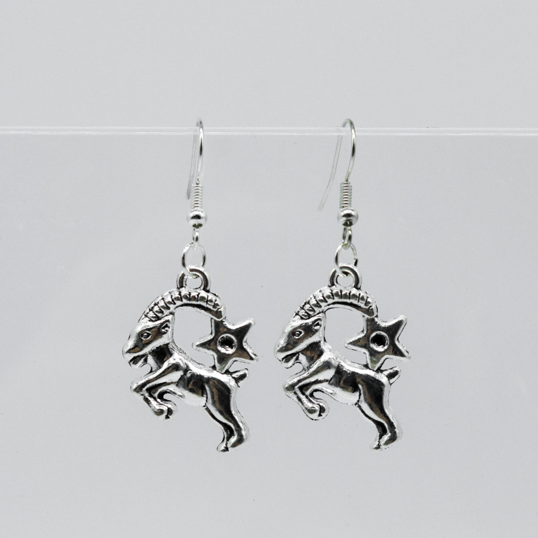 Silber Ohrringe mit Sternzeichen-Anhänger | Shop Nory