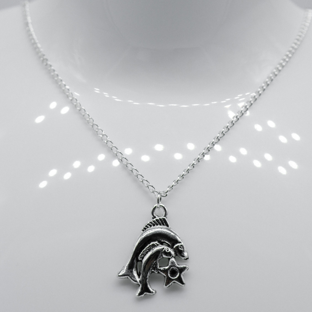 Silver Zodiac Symbol Charm Necklace | Shop Nory