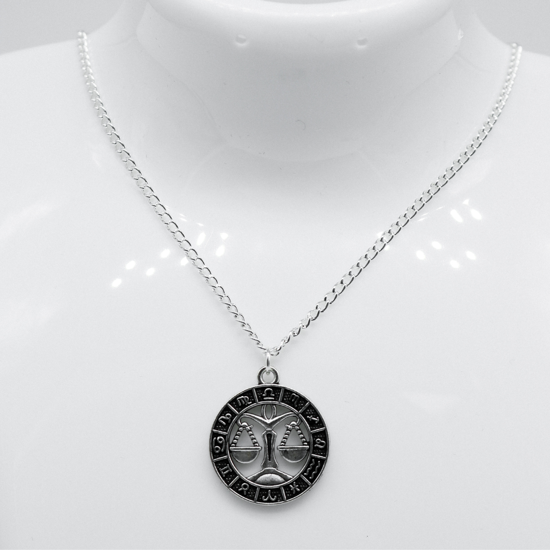 Silber Zodiac Coin Charm Halskette | Shop Nory