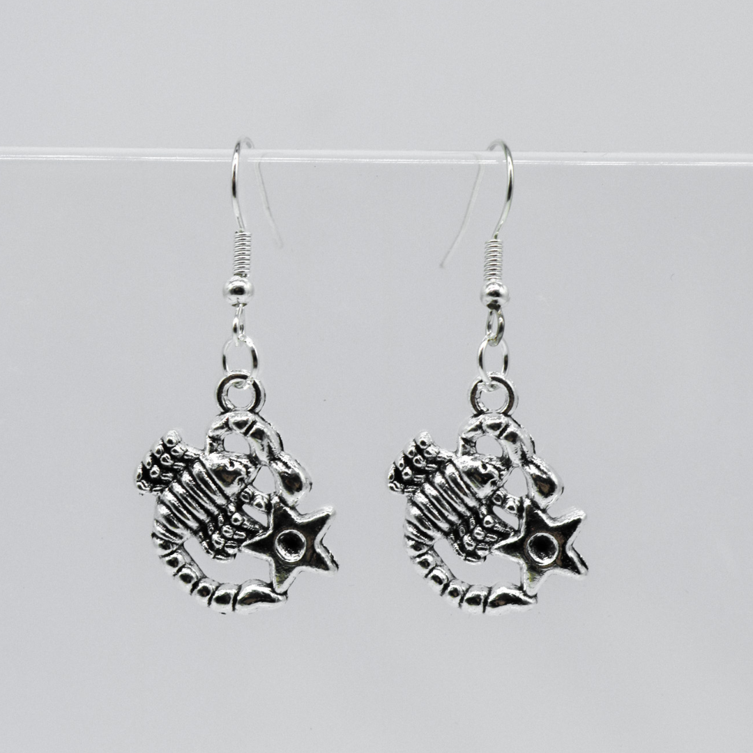Silver Earrings With Zodiac Symbol Charm | Shop Nory