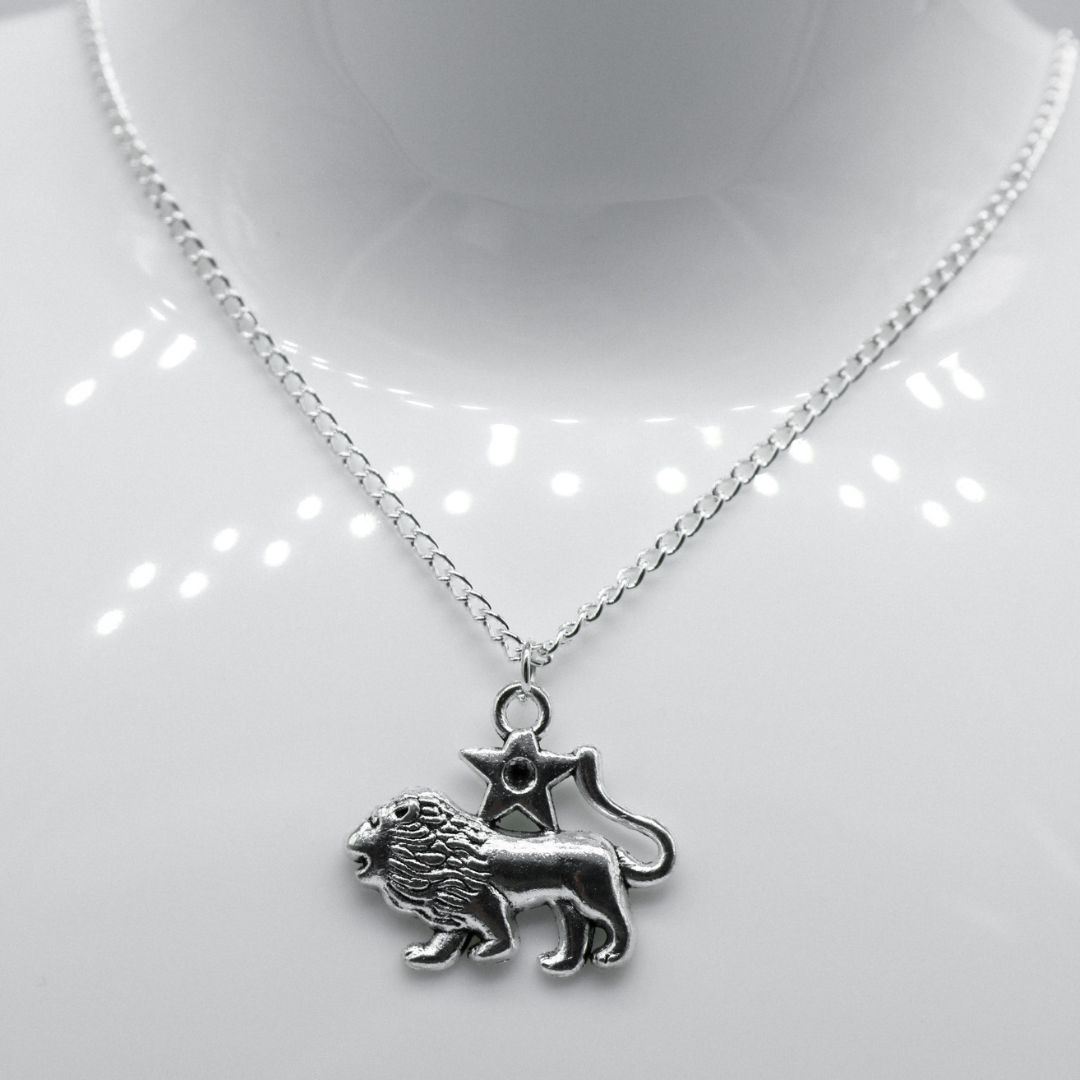 Silver Zodiac Symbol Charm Necklace | Shop Nory