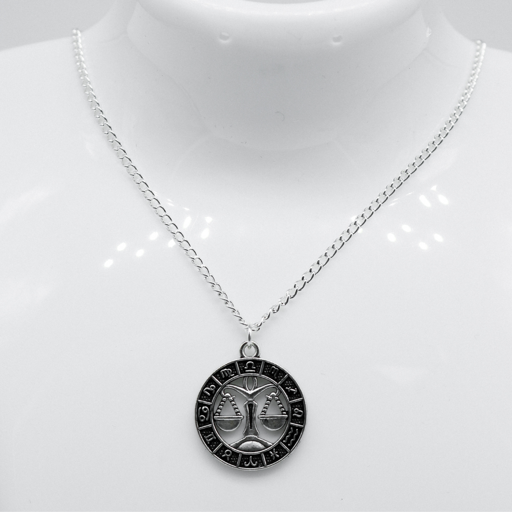 Silver Zodiac Coin Charm Necklace | Shop Nory