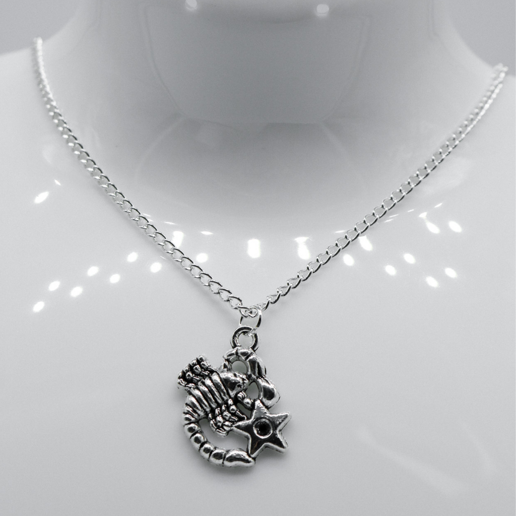 Silber Zodiac Symbol Charm Halskette | Shop Nory