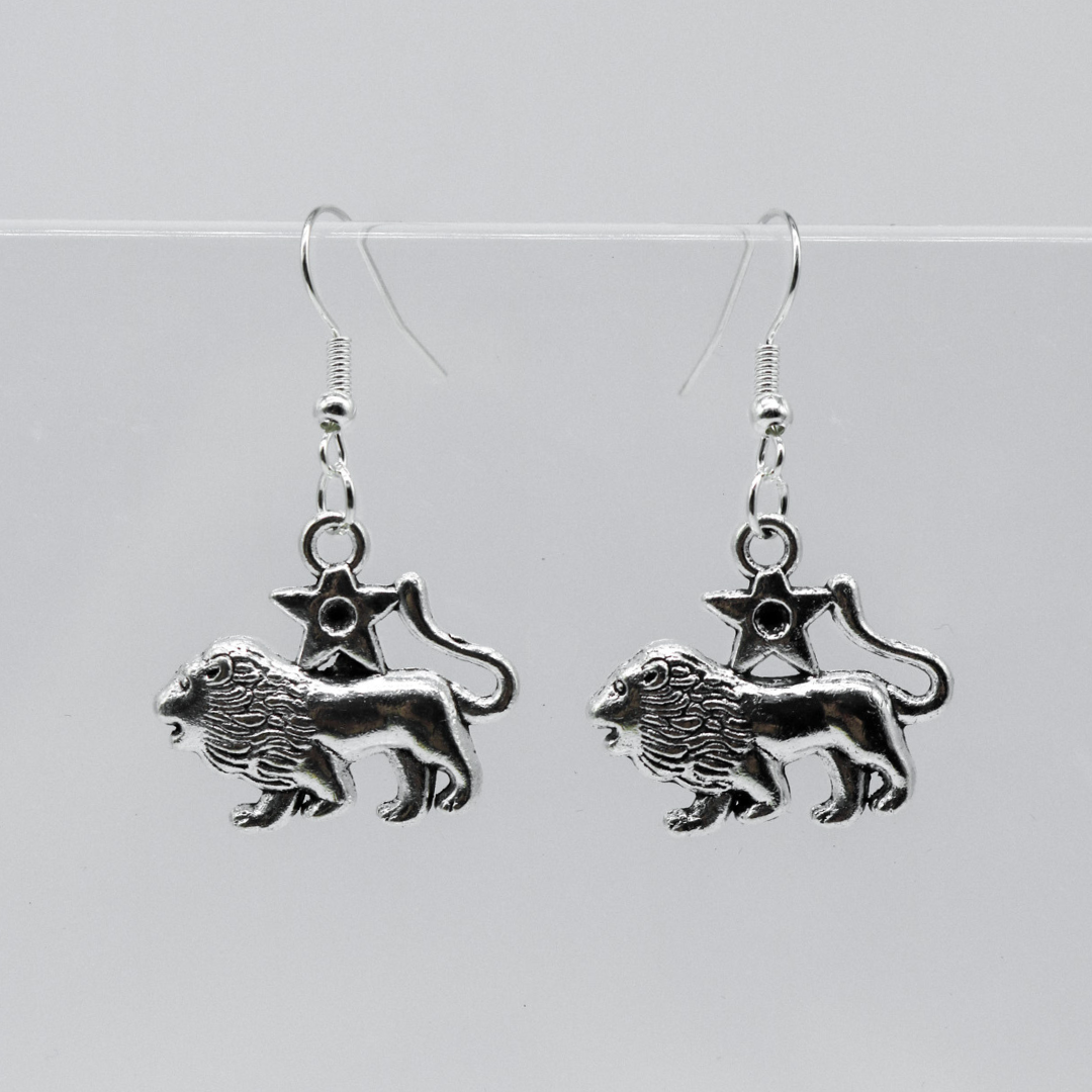 Silver Earrings With Zodiac Symbol Charm | Shop Nory