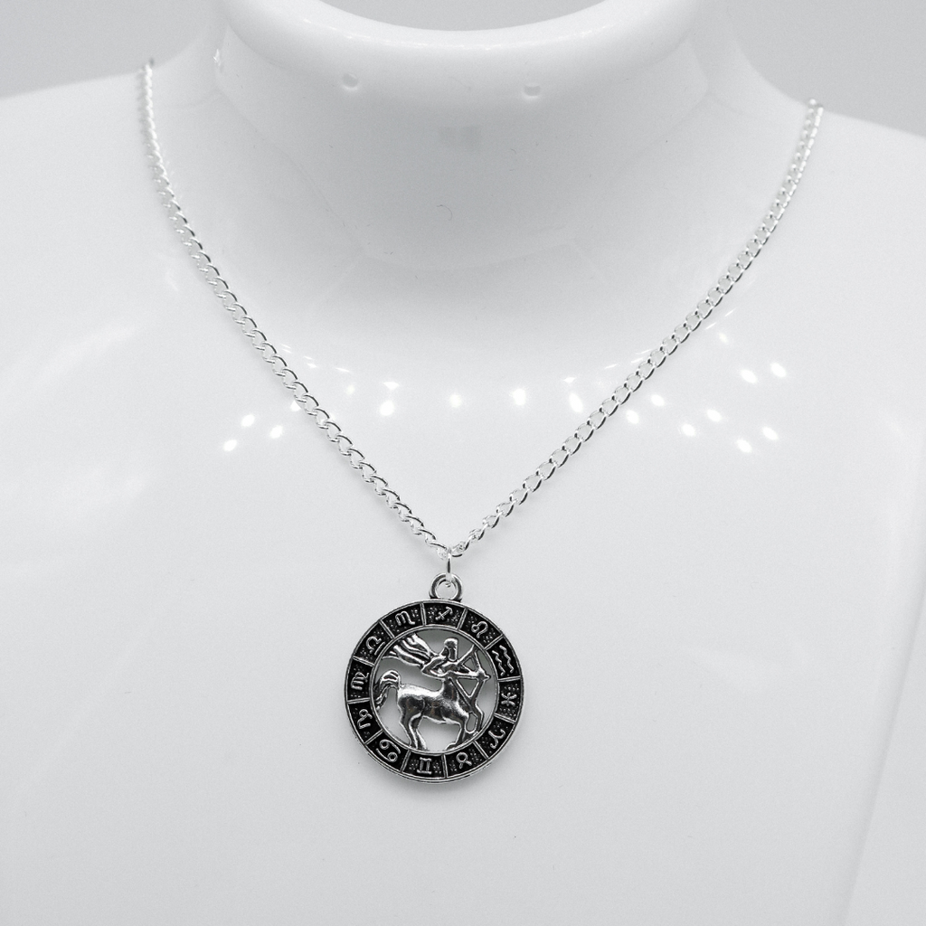Silver Zodiac Coin Charm Necklace | Shop Nory