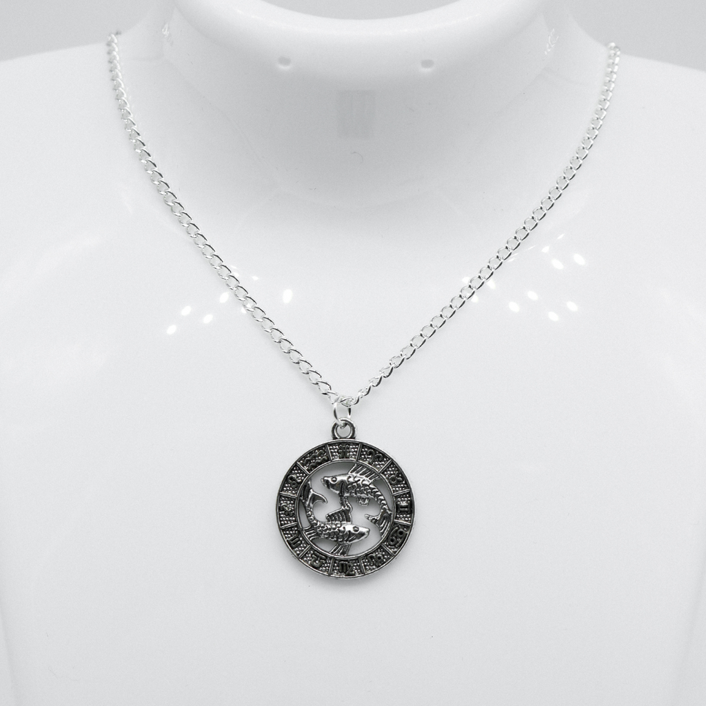Silver Zodiac Coin Charm Necklace | Shop Nory