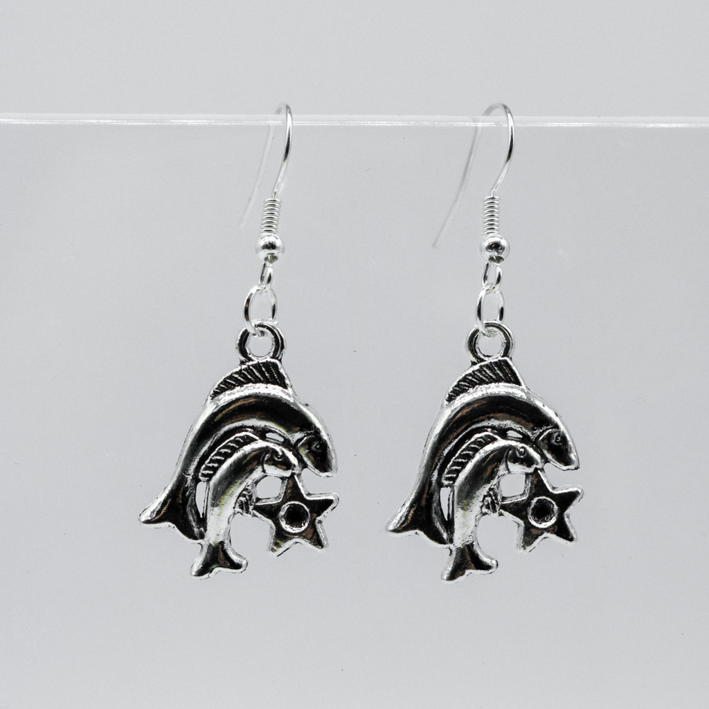 Silber Ohrringe mit Sternzeichen-Anhänger | Shop Nory