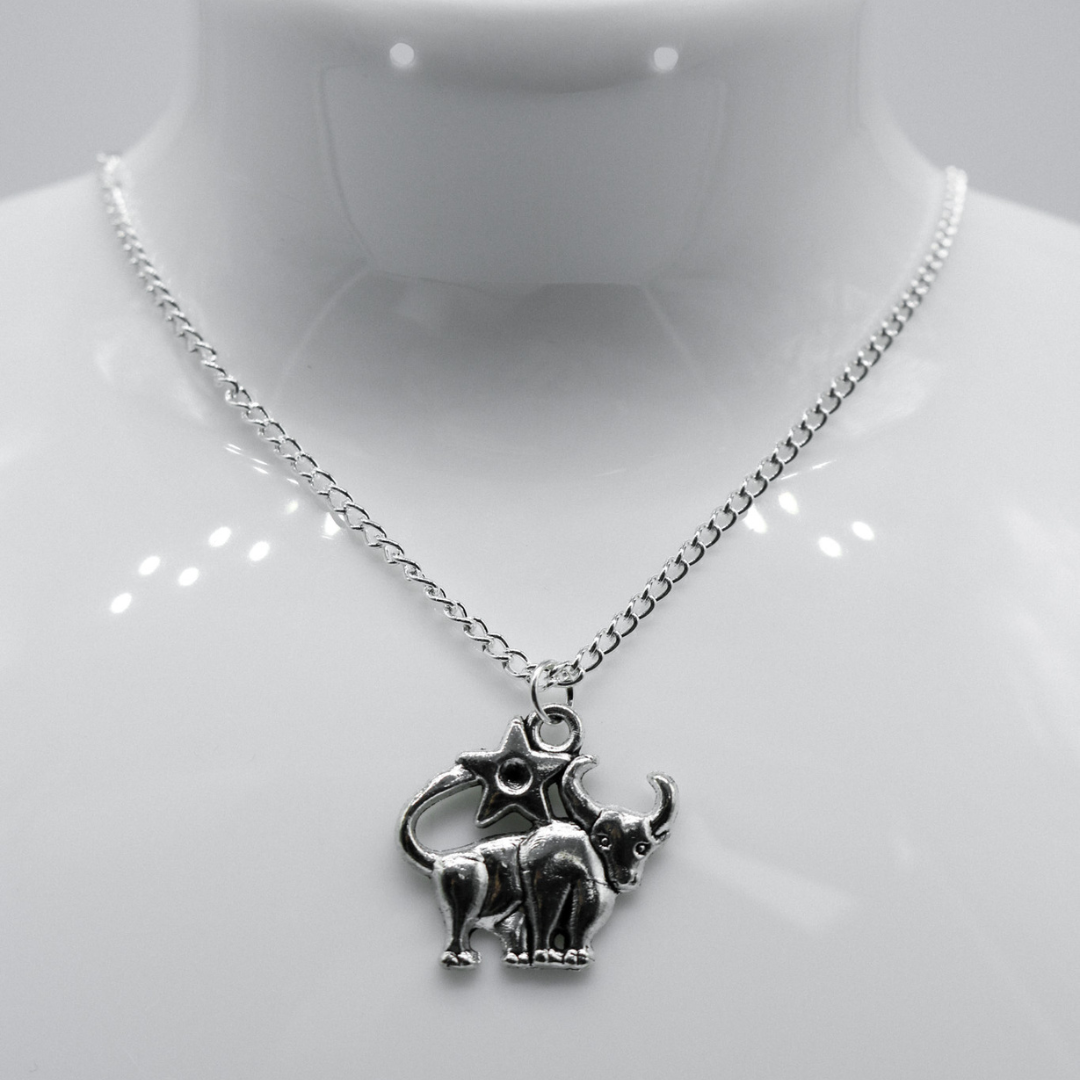 Silber Zodiac Symbol Charm Halskette | Shop Nory