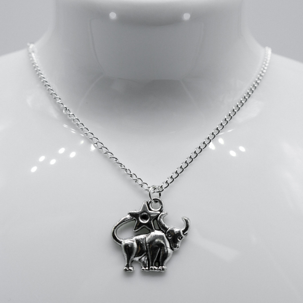 Silver Zodiac Symbol Charm Necklace | Shop Nory