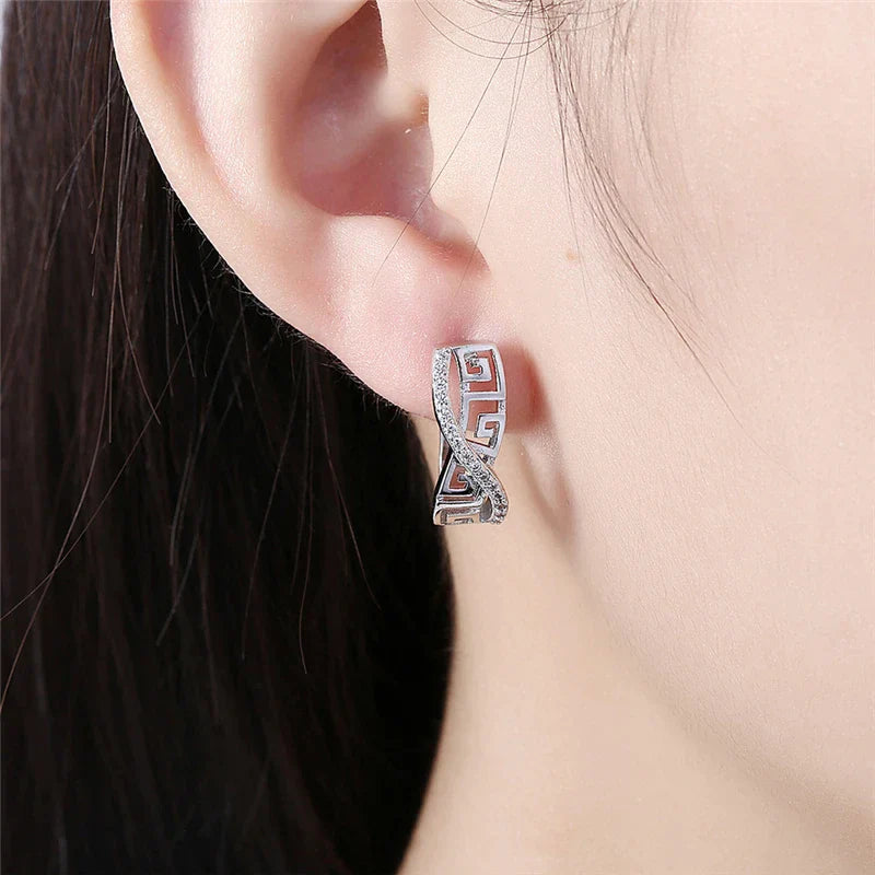 925 Sterling Silber Klassische Zirkon Ohrringe | Shop Nory