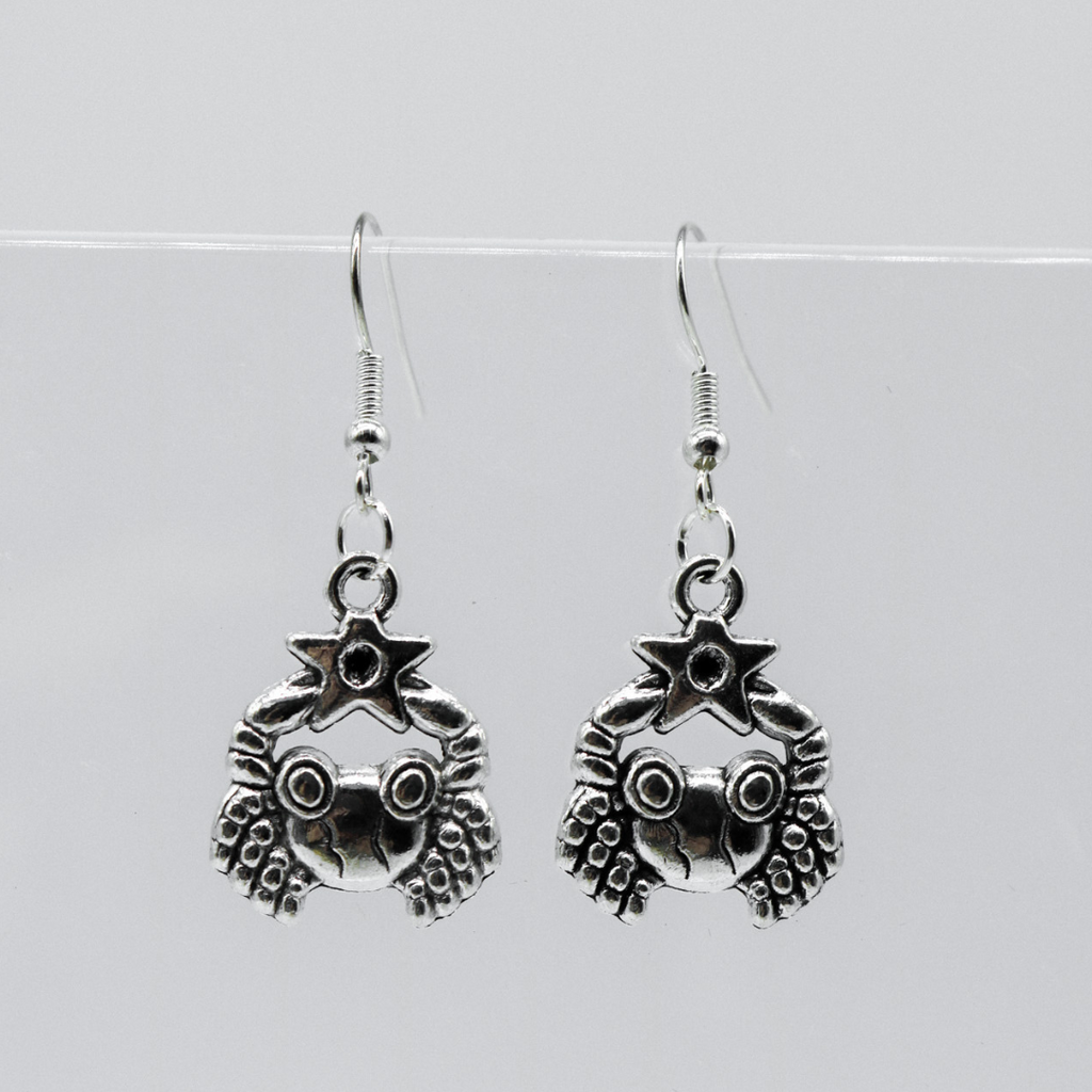 Silver Earrings With Zodiac Symbol Charm | Shop Nory