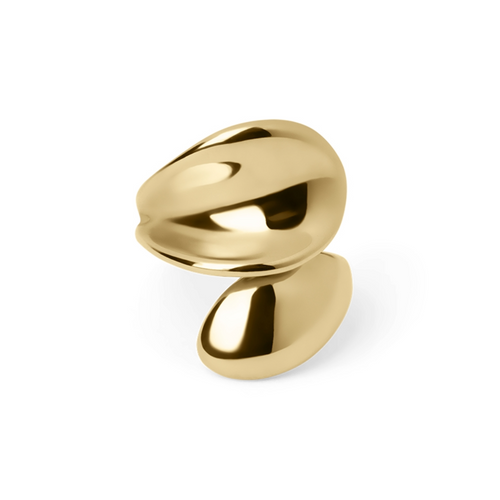 Giani Ring | Shop Nory