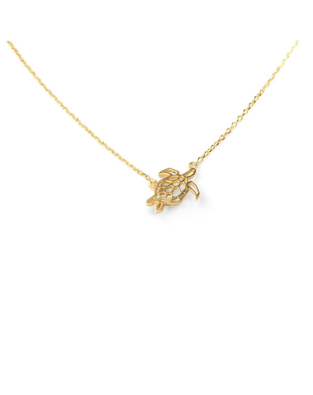 Goldfarbene Halskette mit Schildkröten-Anhänger | Shop Nory
