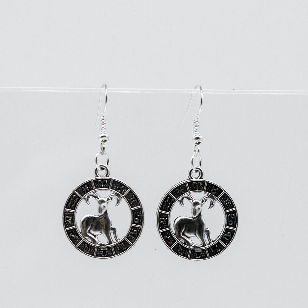 Silberohrringe mit Zodiac-Symbol-Münzanhänger | Shop Nory