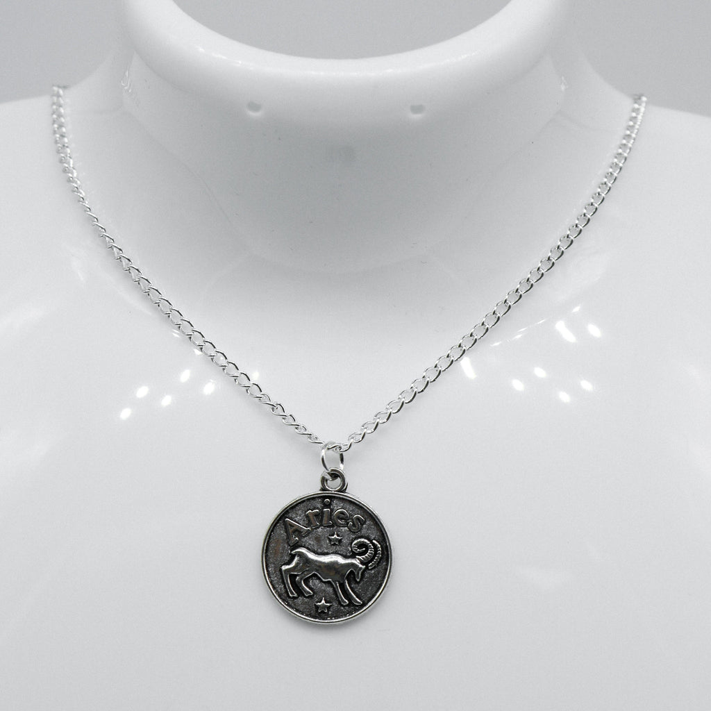 Silber Zodiac Wendbare Münzcharms Halskette | Shop Nory