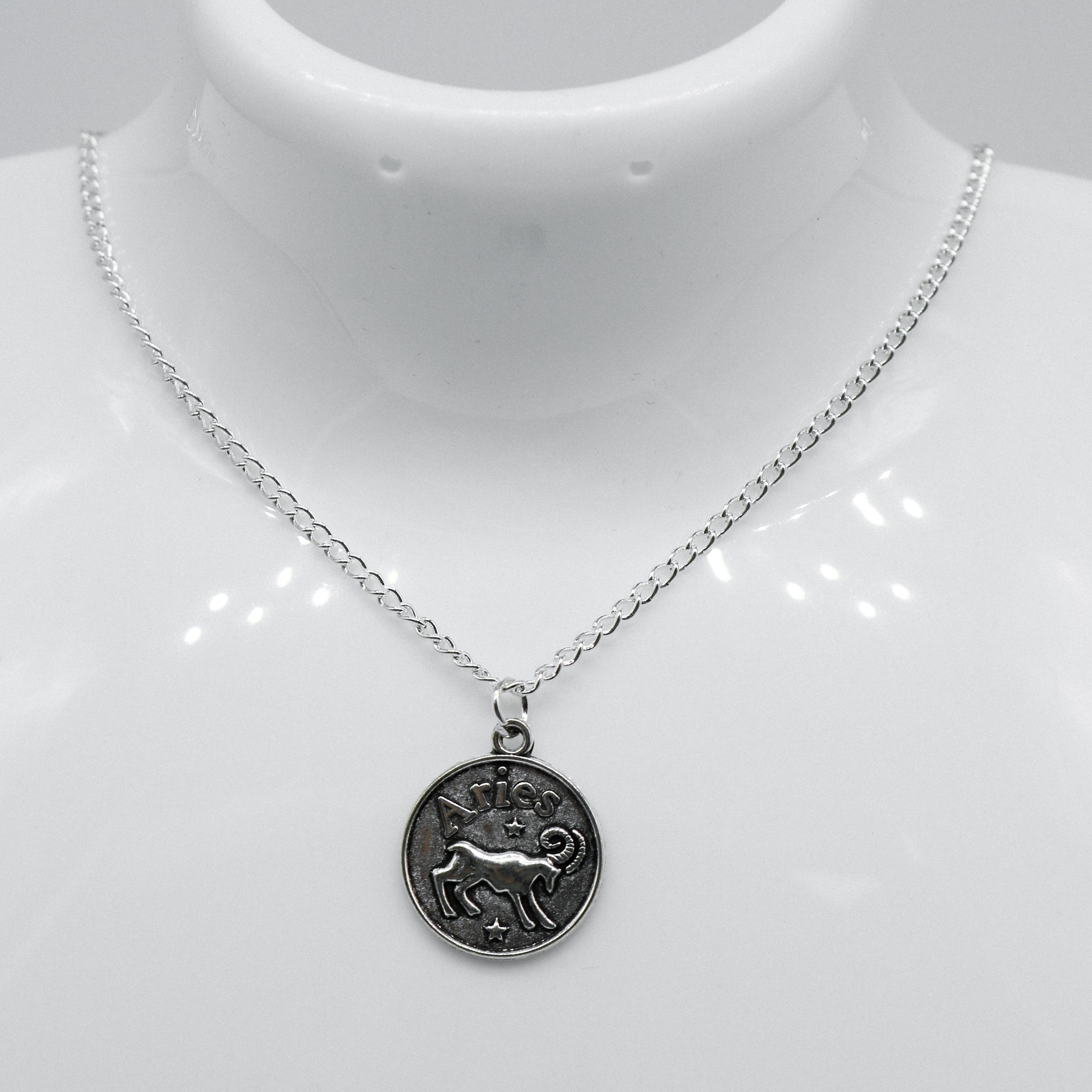 Silber Zodiac Wendbare Münzcharms Halskette | Shop Nory