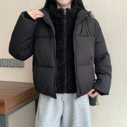 Damen nan kurze wattierte Doppeljacke mit abnehmbarem Teddy-Innenfutter und hohem Stehkragen Shop Nory